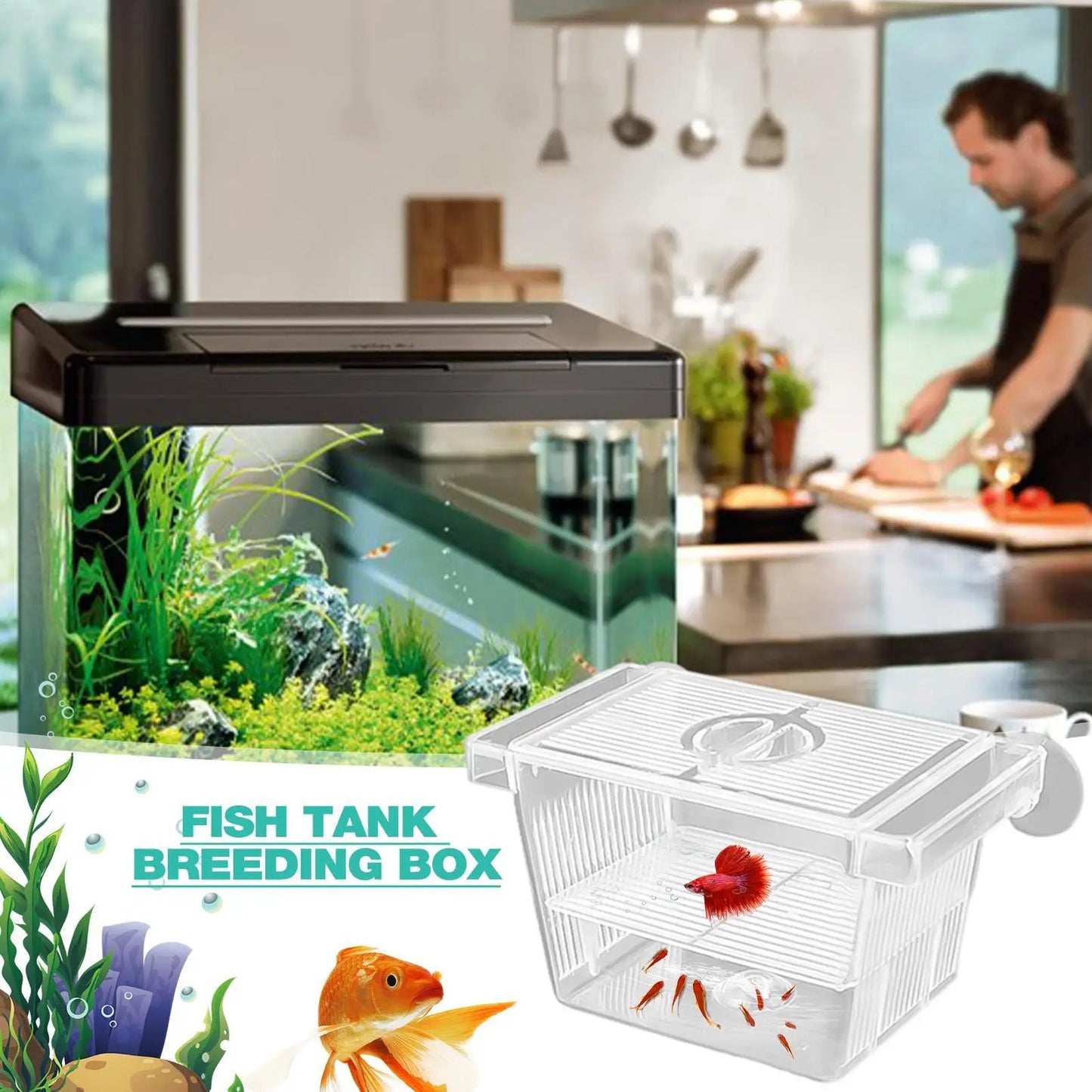 Acrylic Fish Breeding & Isolation Box for Aquariums