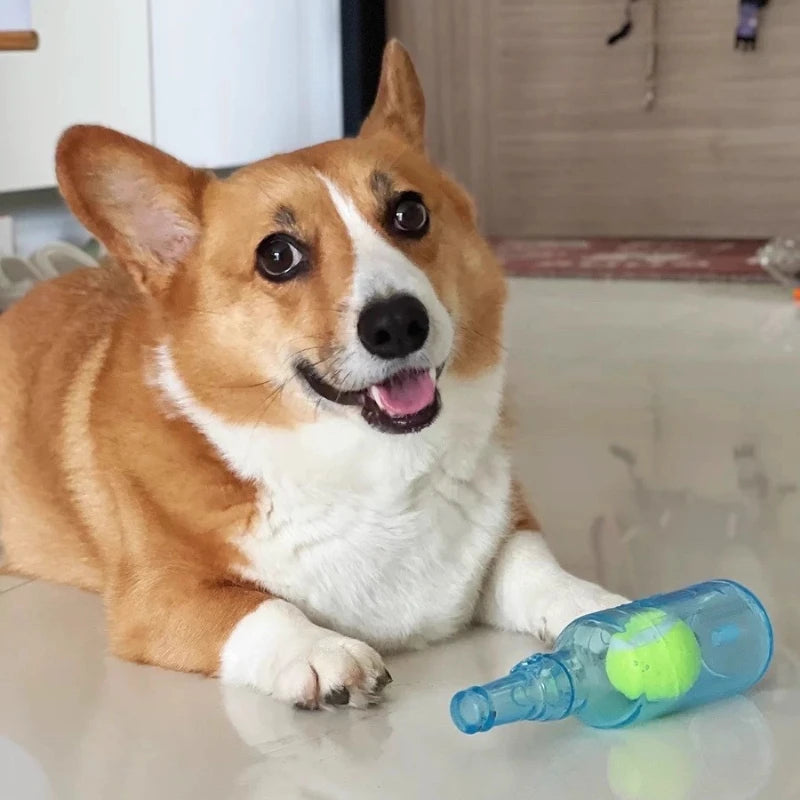 Dog TPR Beer Bottle Chew Toy with Tennis Ball