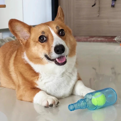 Dog TPR Beer Bottle Chew Toy with Tennis Ball