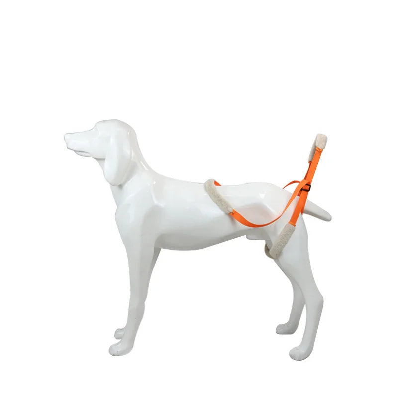 Pet Rear Leg Support Lift Harness