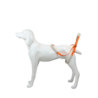 Pet Rear Leg Support Lift Harness