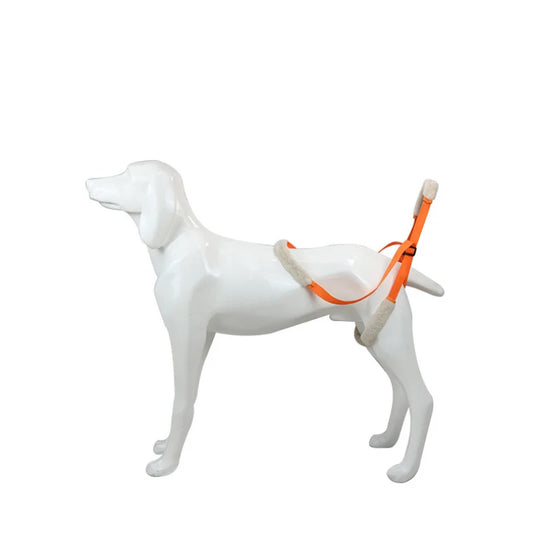 Pet Rear Leg Support Lift Harness