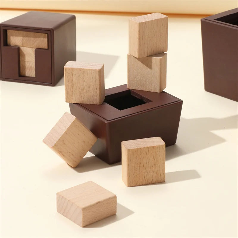 T-Shaped Wooden IQ Puzzle Game