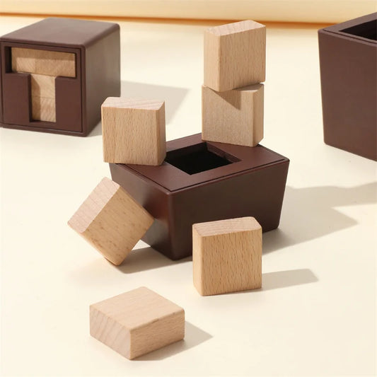 T-Shaped Wooden IQ Puzzle Game