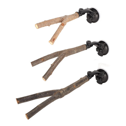 Wooden Bird Branch Perch with Suction Cup