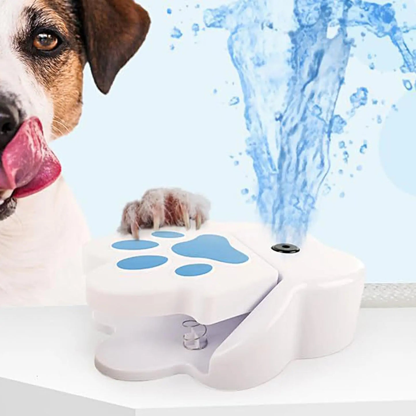 Paw Activated Outdoor Dog Water Fountain