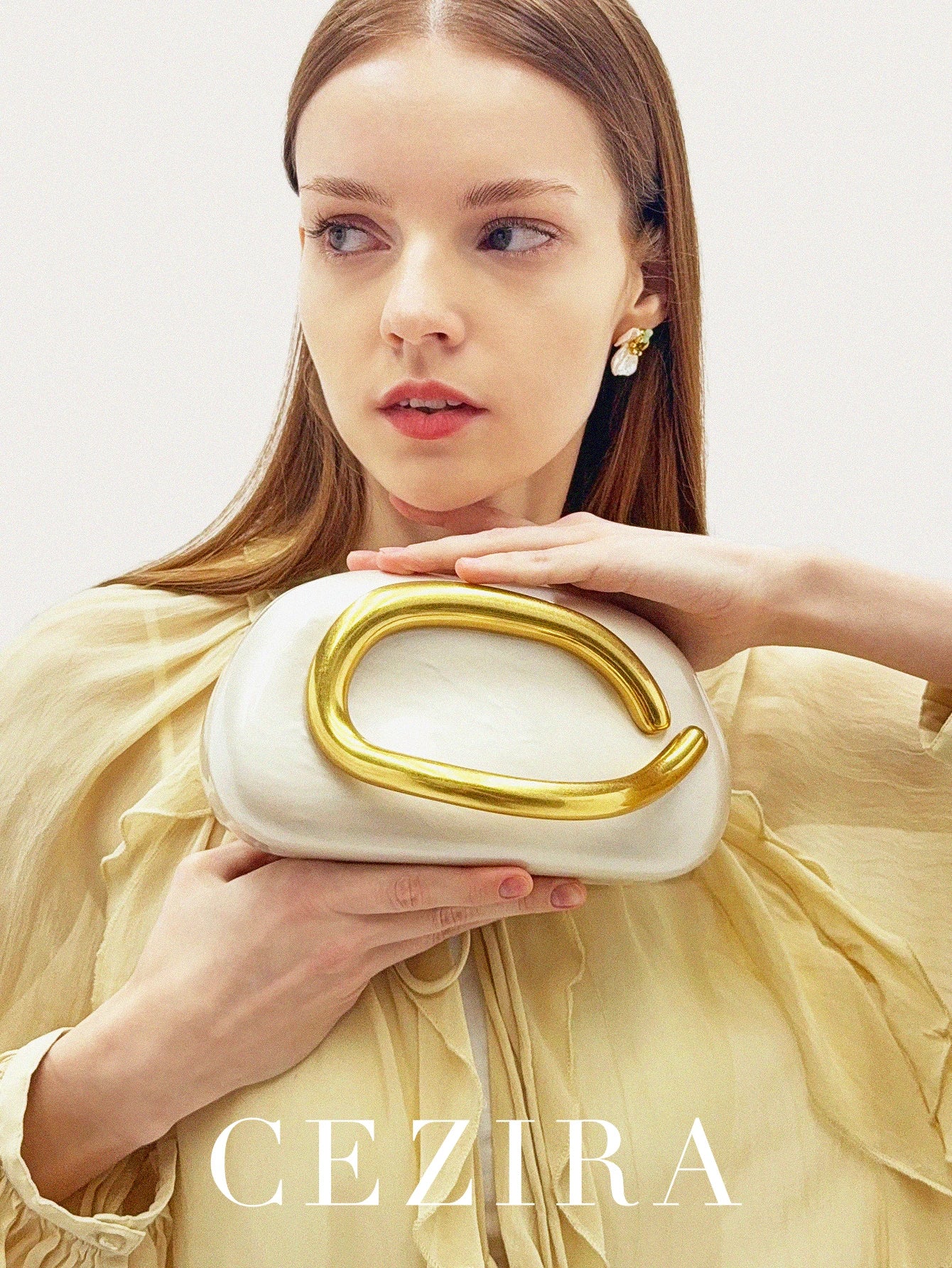 Luxury Acrylic Evening Clutch Bag