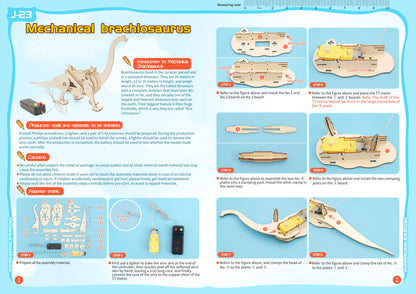 DIY Science Toys