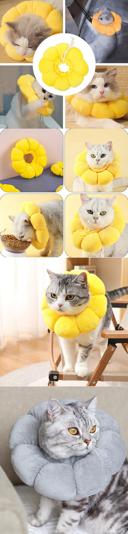 Sunflower Recovery Collar for Cats & Small Dogs