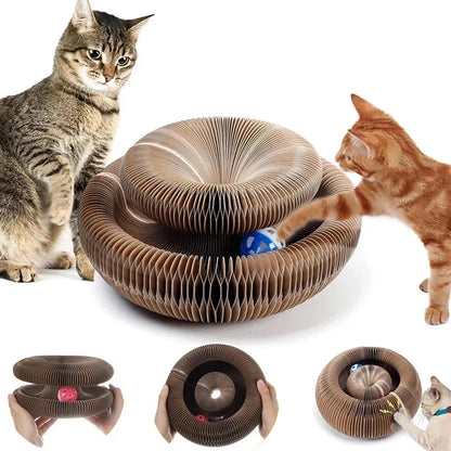 Magic Cat Scratch Ball Board Toy