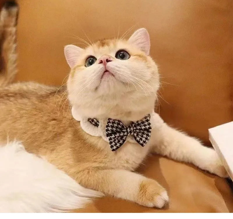 Cute Crocheted Cat Bow Tie Collar