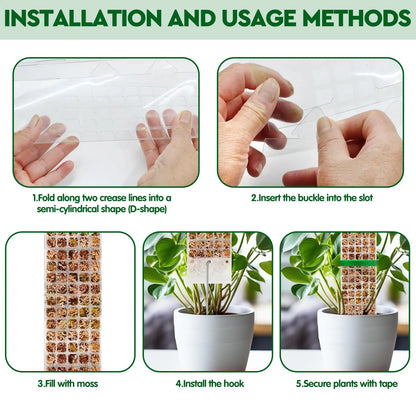 Transparent Plant Moss Pole Support