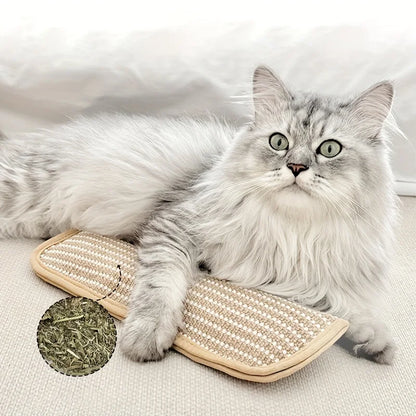 Cat Toy Pillow Scratching Pad