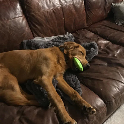 Interactive Squeaking Treat Dispensing Dog Disc