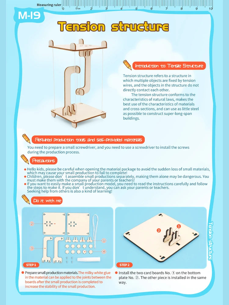 DIY Science Toys
