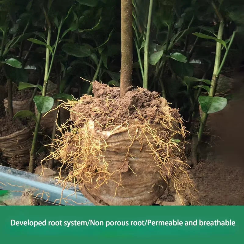 Biodegradable Non-Woven Seedling Grow Bags