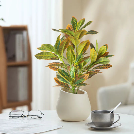 24-41cm Artificial Plant Fake Ficus Tree