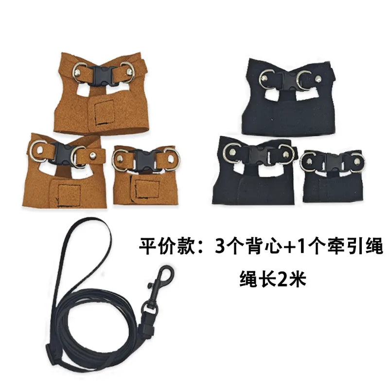 Reptile Harness Leash Set