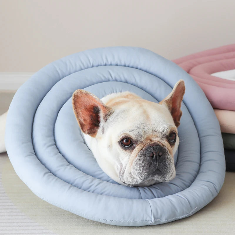 Pet Elizabethan Protective Collar