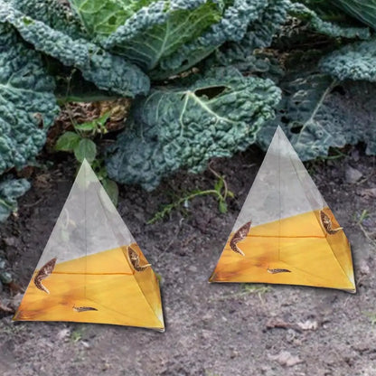 Reusable Slug Beer Traps