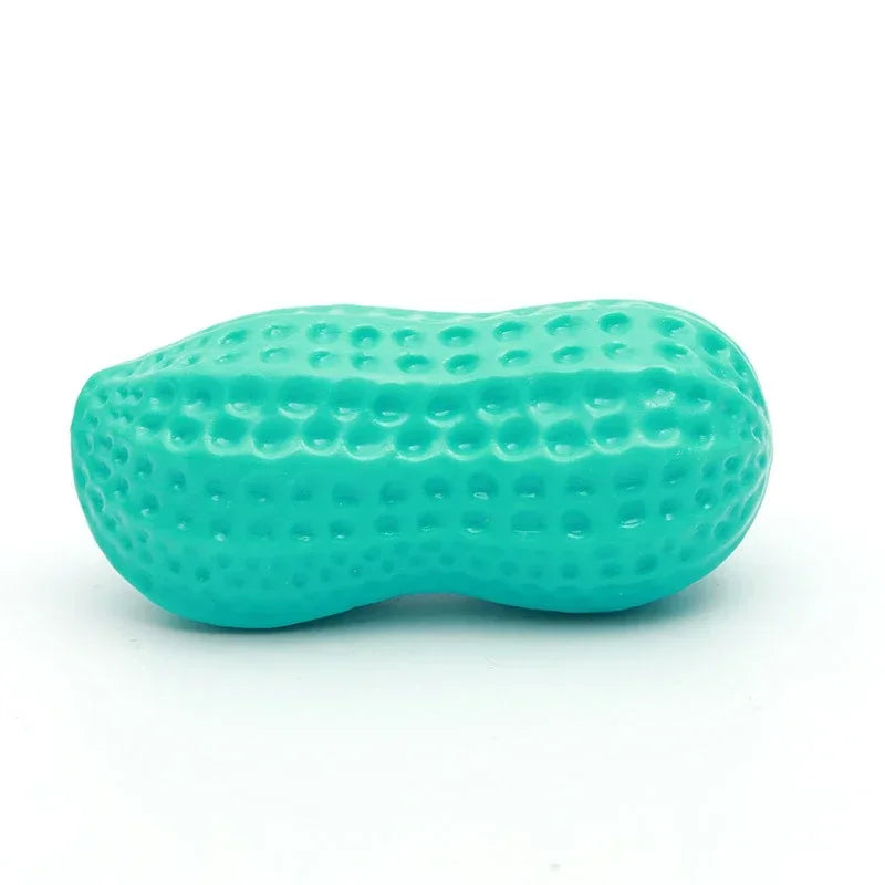 Peanut Squeaky Dog Chew Toy