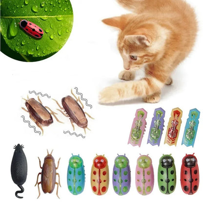 Electric Bug Cat Toy – Automatic Crawling Insect Interactive Toy