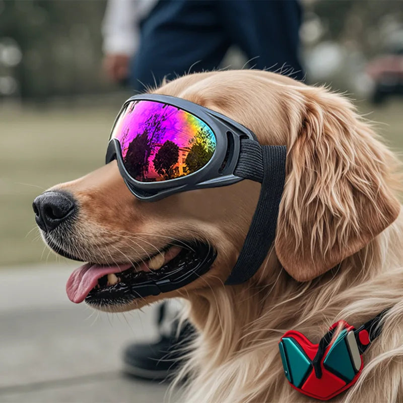 Anti-UV Pet Sunglasses for Outdoor Adventures & Travel