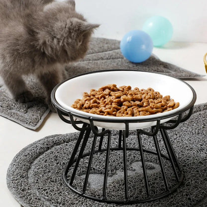 Elevated Ceramic Cat Food Bowl with Metal Stand