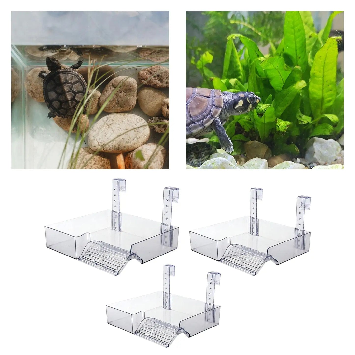 Transparent Hanging Turtle Basking Platform