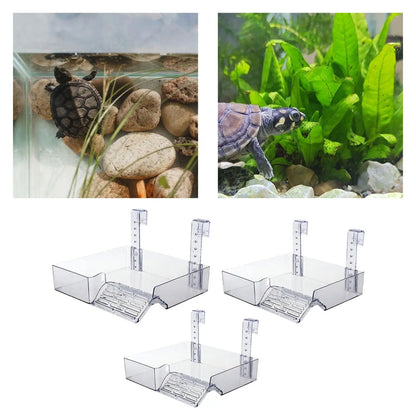 Transparent Hanging Turtle Basking Platform