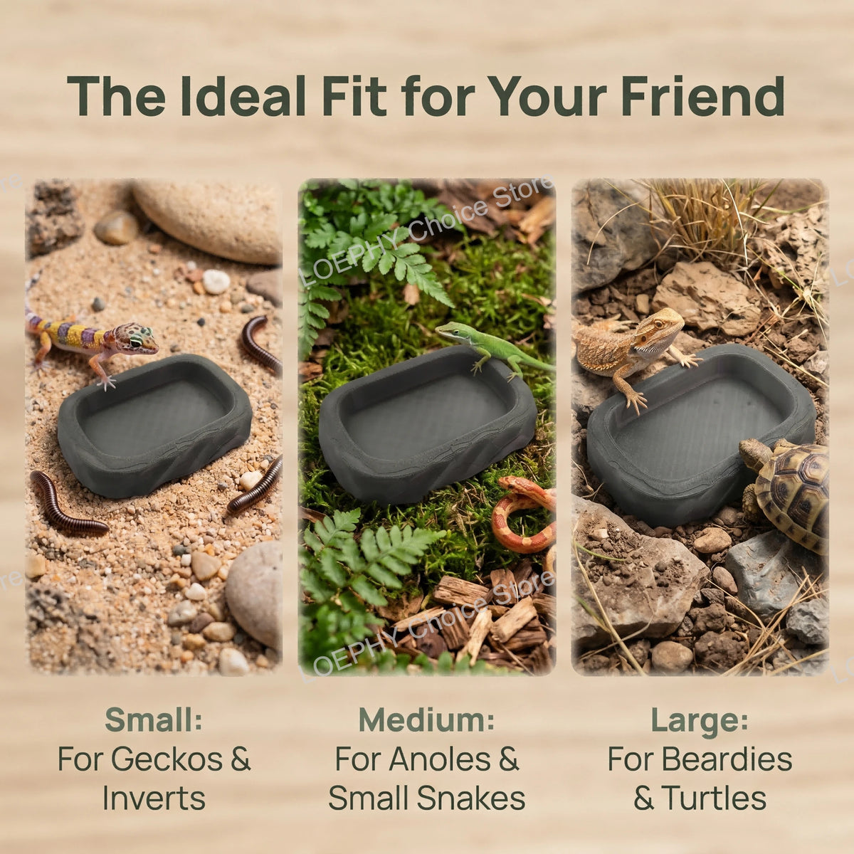 Stone Style Reptile Water Dish Bowl