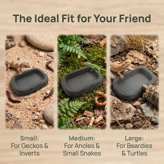 Stone Style Reptile Water Dish Bowl