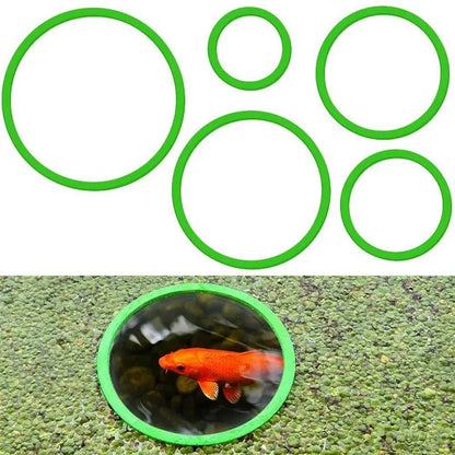 Aquarium Floating Plant & Feeding Ring Set