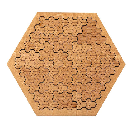 Impossible Wooden IQ Puzzle Game