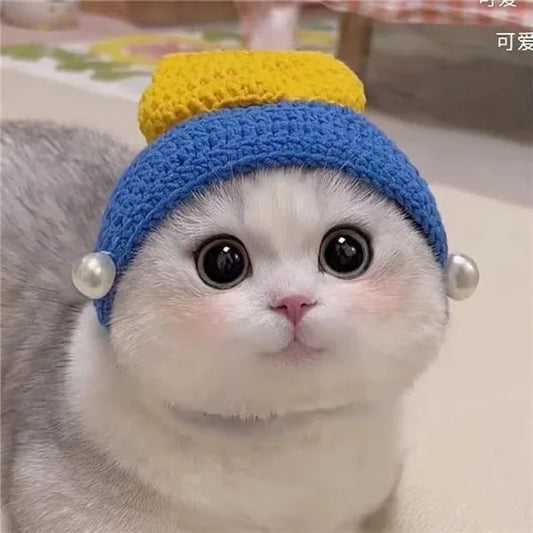 Autumn & Winter Knitted Cat Hat
