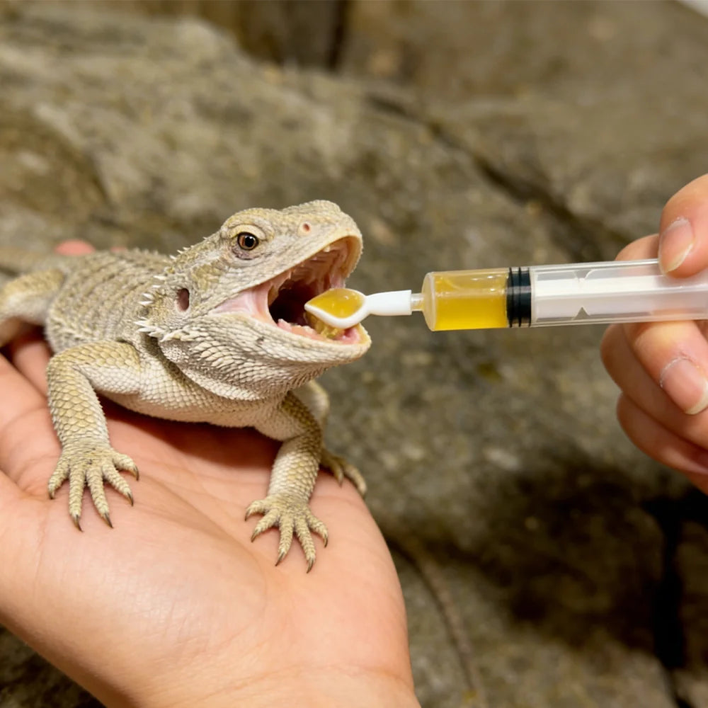 Reptile Feeding Syringe with Spoon Tip