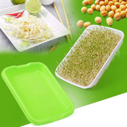 Microgreens Sprouting Tray