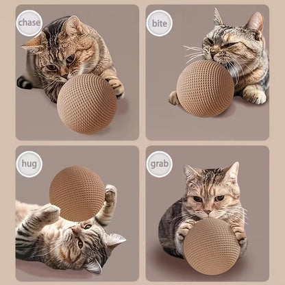 Sisal Cat Toy Ball for Indoor & Outdoor Play