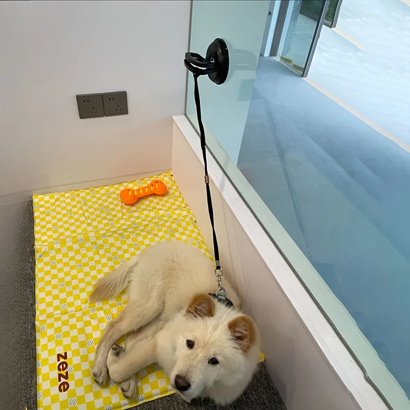 Pet Bathing Restraint Leash with Suction Cup