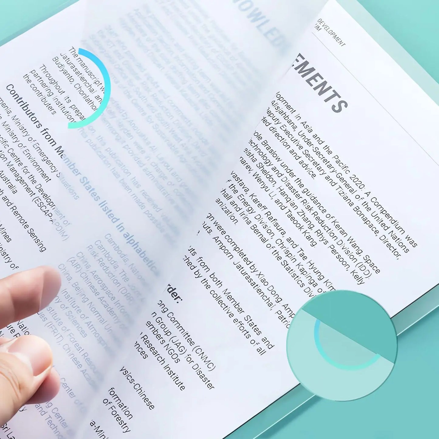 A4 Transparent L-Type Document Folders