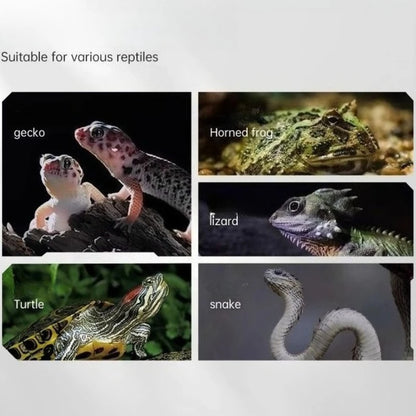 Anti-Escape Reptile Feeding Bowl