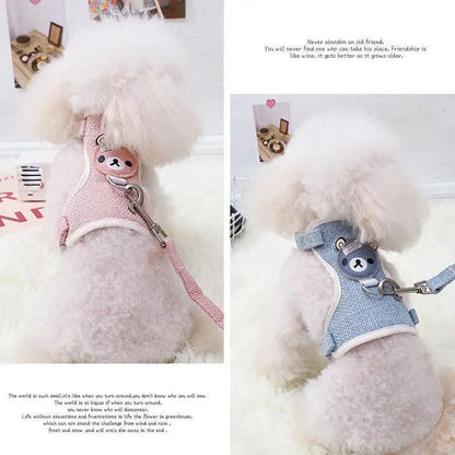 Bear Pet Harness & Leash Set for Small Dogs & Cats