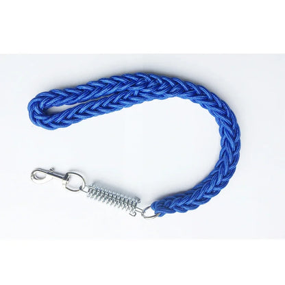 Shock Absorbing Dog Leash – Braided Nylon Training Lead