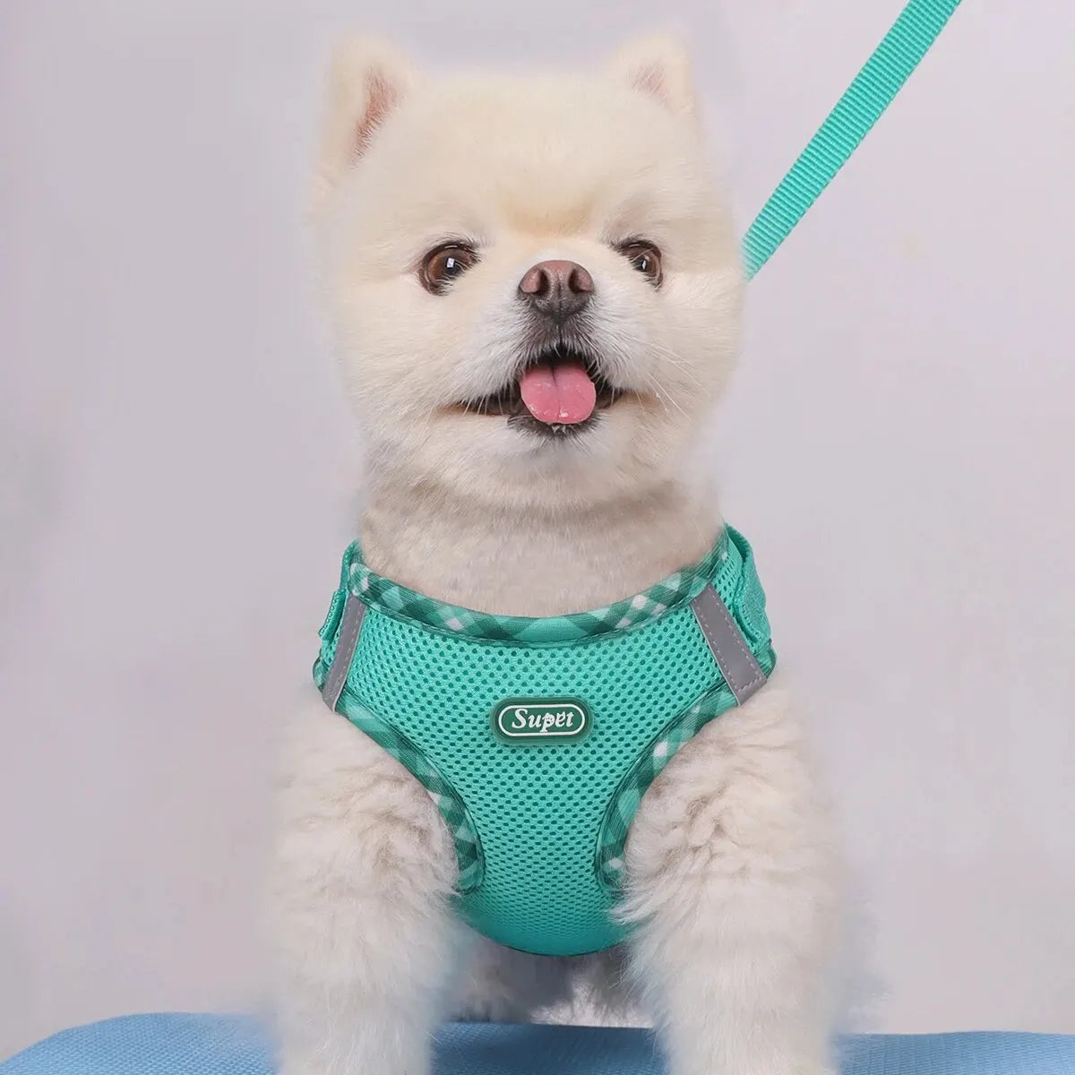 Supet Adjustable Anti-Pull Dog Harness