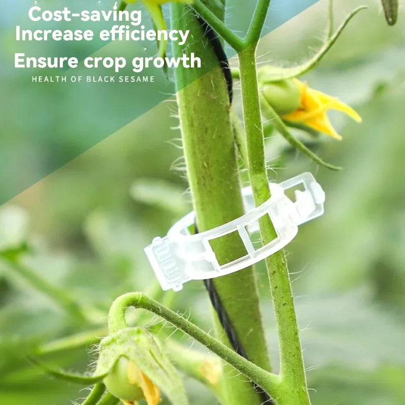 Reusable Plastic Plant Support Clips for Garden Trellis