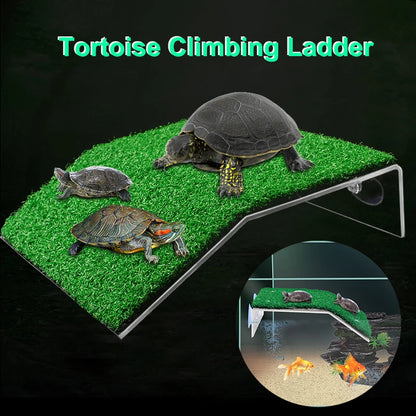 Turtle Basking Platform Ramp