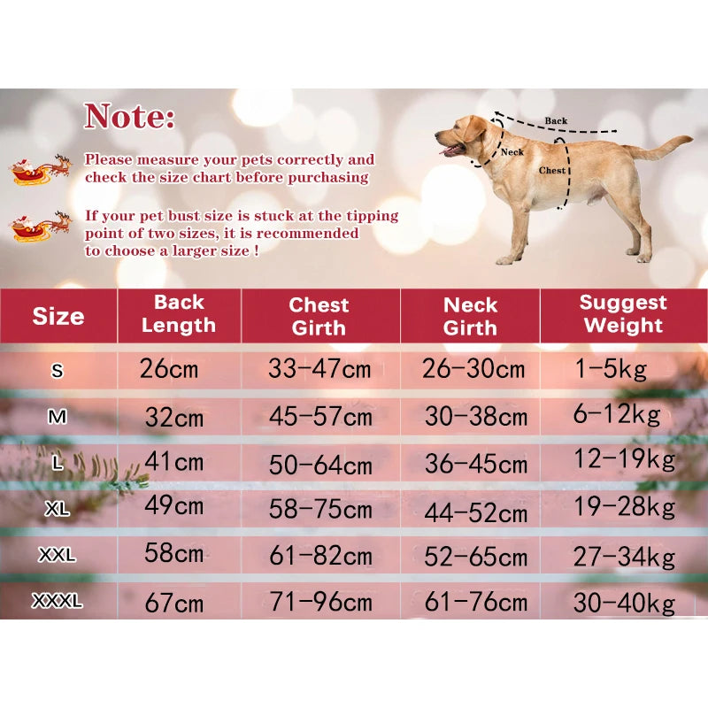 Santa Claus Riding Dog Christmas Costume