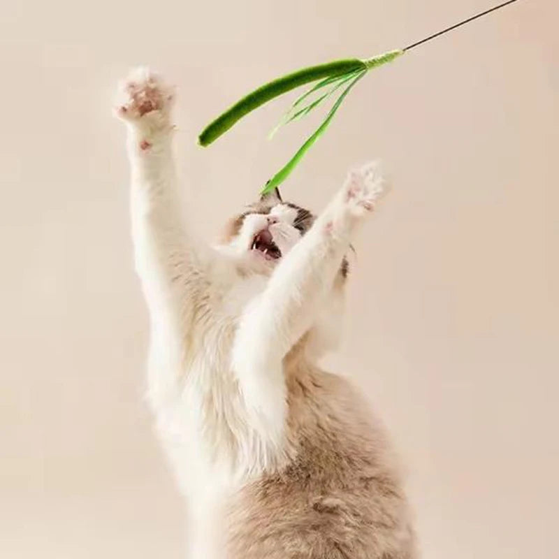 Feather Wand Cat Teaser Toy