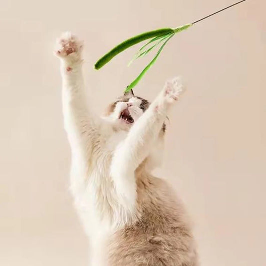Feather Wand Cat Teaser Toy