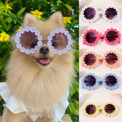Pet Flower Sunglasses for Cats & Small Dogs